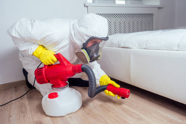 Best Emergency Pest Control  in Contoocook, NH
