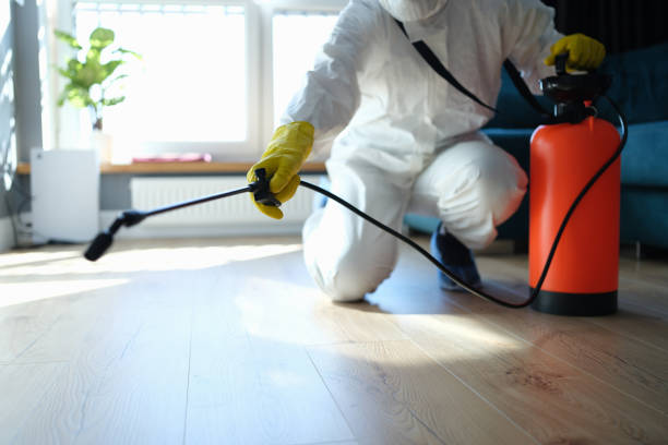 Best Pest Removal Services  in Contoocook, NH
