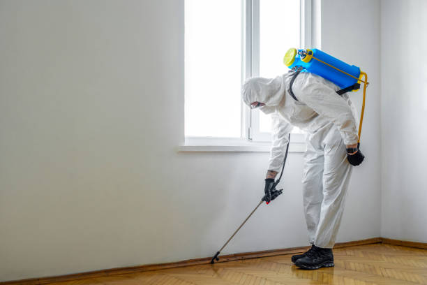 Reliable Contoocook, NH Pest Control Solutions