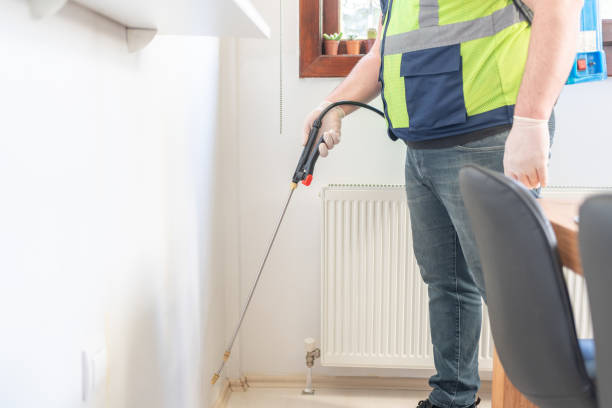 Best Local Pest Control Services  in Contoocook, NH